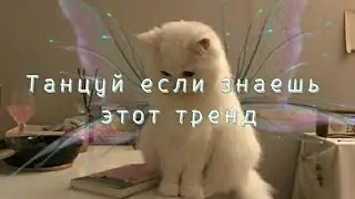 @yourdream7 Танцуй если знаешь этот тренд || тренды 2021|| Тикток| &bull;_&bull;