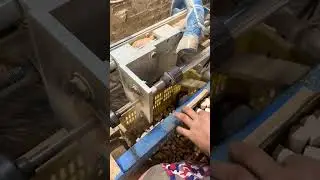 #original video #source factory #source strength manufacturer #wood products 1755313985107