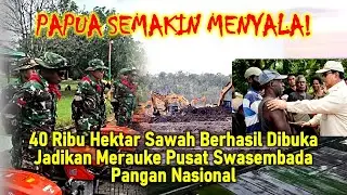 Papua Semakin Menyala! 40 Ribu Hektar Sawah Berhasil Dibuka TNI, Siap Swasembada Pangan!