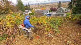 CLEARING TWO HEAVILY OVERGROWN SLOPES!