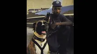 Snoop Dogg x NWA Type Beat – 