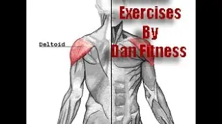 Lateral Raises with Resistance Bands