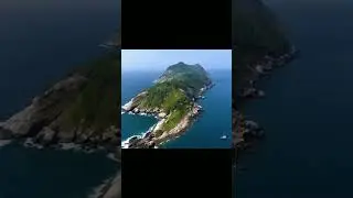 Snake Island #animals #mysteriousislands #islandsecrets