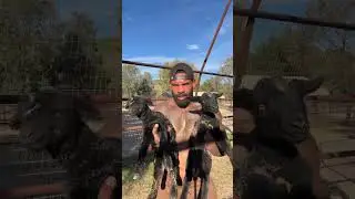 A day in my life at the farm 🙏🏾
