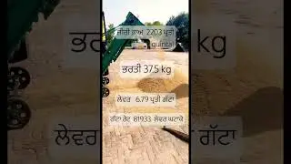 Paddy season in punjab paddy price #punjab #punjabi #labour #india #ytshorts #latest #viralsongs