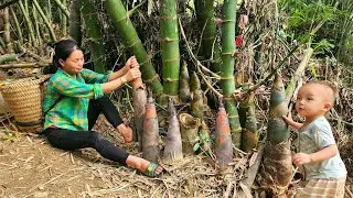 The process of building a farm and harvesting crops to sell to earn money to raise children