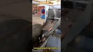 Cassava washing machine cassava cleaning machine cassava processing machine
