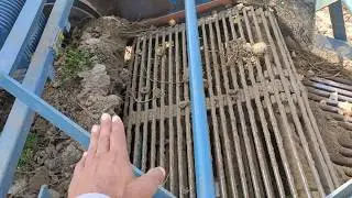 massey241 के साथ आलू खुदाई की सबसे अच्छी मशीन कौन सी होती है देखो