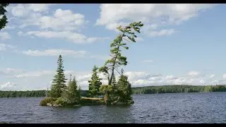 Algonquin 2024 - McIntosh Lake Loop