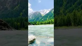 Trip To kumrat valley #swat#kalam #jahazbanda #kundbanda #mangora #ushoforest #thalbazar #Malamjaba