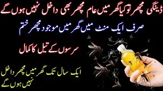 Get rid of Mosquito,cockroach,lizard with this home remedy|Easy to make and powerful remedy