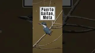Places to visit in Colombia: Mururito Natural Reserve