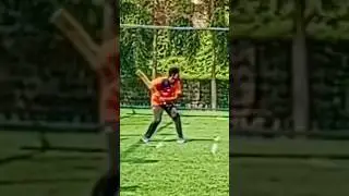Cricket SHOCKER! Can One Bat Really Hit Two Shots?