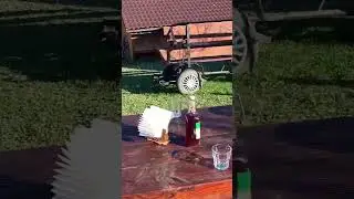 Гуцульщина в гостях у гуцулов