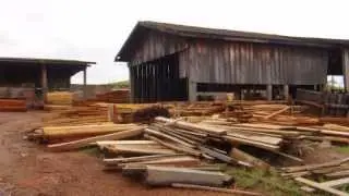 Logging in the Amazon