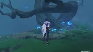Chirai Shrine | Find your way through the mist and make an offering at the Perches | Genshin Impact