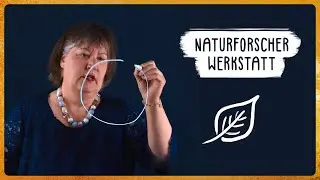 Struktur für Naturforscher-Werkstatt im Kindergarten