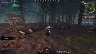 Neverwinter || Vault of Stars HDPS Build for Fighter || Vamp