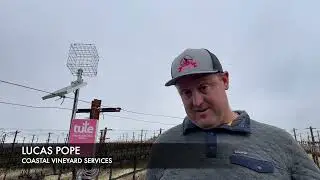 Coastal Vineyard Services Saves Water and Improves Quality with Tule Sensors