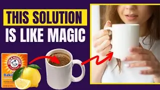How to Clean Stained Coffee Mugs for A Spotless Look