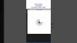 How create a snowflake by python code Turtle