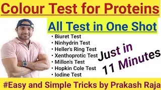 Colour Test for Proteins/ All Test in One Shot/ Biomolecules/ Proteins