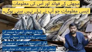 Amazing Information About Fish in Urdu Hindi | Benefits of fish | Karachi Fishery | Fish Facts Urdu