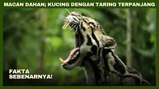 MACAN DAHAN: Kucing dengan Taring Terpanjang, Temukan Jawabannya!