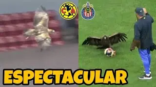 El &Aacute;guila Celeste VOLANDO en el Estadio Azteca | Am&eacute;rica vs Chivas Femenil