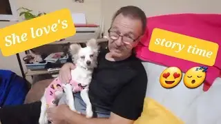 DADDY and  SCOUTY STORY TIME! SHE LOVE IT!/Fil-American couple @mypersonalyt1968 