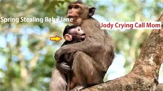 Again & Again Young Spring Kidnap baby Jody run away, Poor baby crying mom to Help