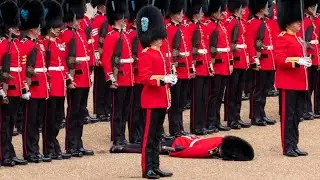 Los Guardias Militares Brit&aacute;nicos Deben Seguir El Protocolo De Desmayo Adecuado