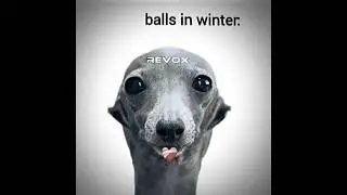 balls in winter ☠️❄️ #memes #funk #funny #viralvideo #football #hearttrend #fyp #edit #subscribe