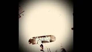 @Fer(youngmuua),te&hellip;.. #Skateboardinglogpt.13 landing 🛬 HardFlip/ doing switchflip n kickflip