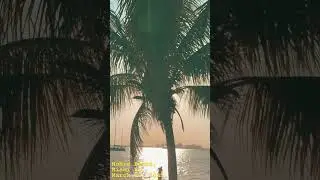 Beautiful sunset at Hobie Beach, Miami FL March 12 2025