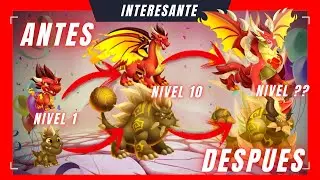 🫨🫨😱😱nuevos comienzos y nuevos dragones mejor que nunca!!!. dragoncitynew #1😱😱🫨🫨