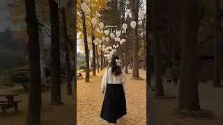 The magic of autumn on Nami Island, South Korea 🍂