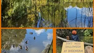 JOIN ME AT BODENHAM ARBORETUM 