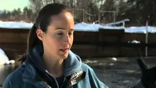 Burns Bog Ecological Conservancy Area Monitoring