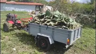 Potência do tratorito branco 10 hp