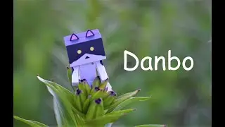 Обзор фигурки Danbo