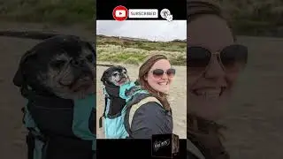 Our old man Sherman can't take very long walks anymore so we improvised | Cool Pets