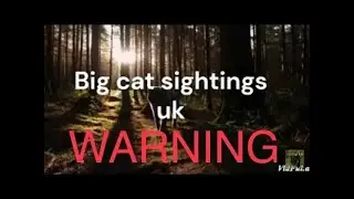 Real Pumas in the Shadows: The Return of Suffolk's Big Cats