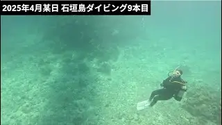 【石垣島】ファンダイビング9本目