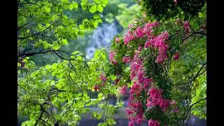 Vivaldi - Summer - 3. Presto - Adrian Chandler &middot; La Serenissima ['Portrait of a Lady on Fire']