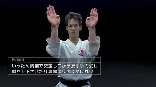 Wadoryu Chinto (360 Viewing system )