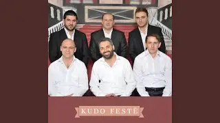 KUDO FESTË