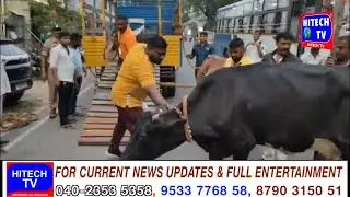 Hyderabad: GHMC Officers & Traffic Police Conduct Special Drive to Caught Stray Animals.