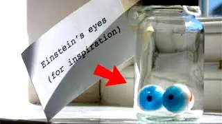 Where Are Albert Einstein's EYES?