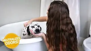 Nourish & Soothe Shampoo & Conditioner Application